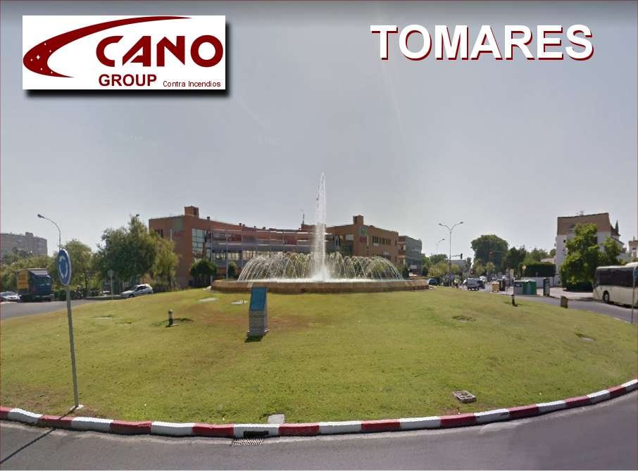 Tomares Cano Group